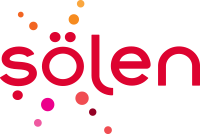 Şölen